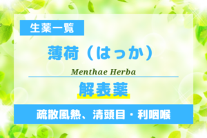 薄荷（はっか）