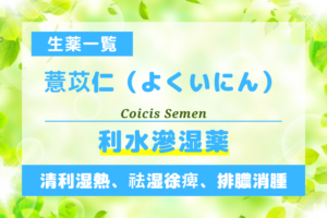 薏苡仁（よくいにん）