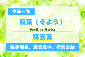 蘇葉（そよう）