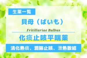 貝母（ばいも）