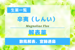 辛夷（しんい）