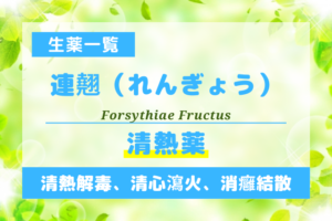 連翹（れんぎょう）