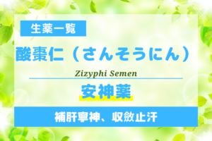 酸棗仁（さんそうにん）