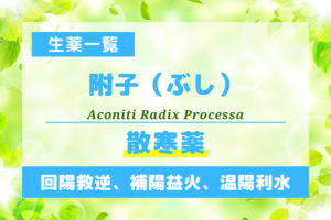 附子（ぶし）
