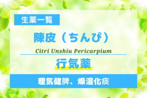 陳皮（ちんぴ）
