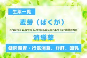 麦芽（ばくが）