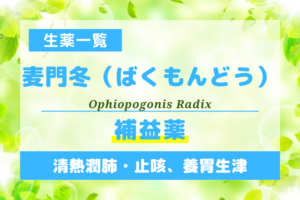 麦門冬（ばくもんどう）