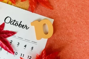 「二十四節気」とは？季節の移ろいと漢方・食養生の関連性を詳しく解説