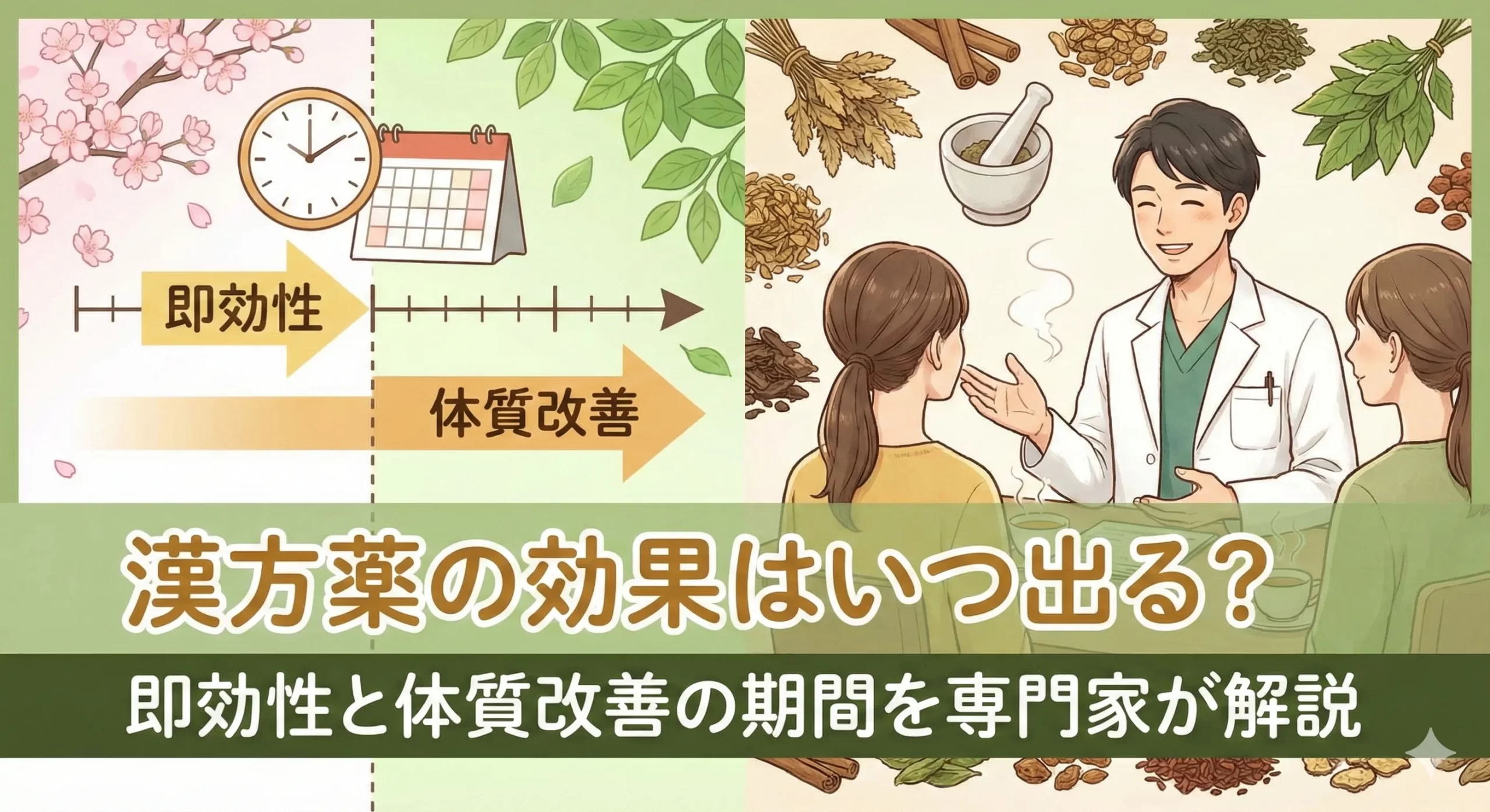 漢方薬の効果はいつ出る？即効性と体質改善の期間を専門家が解説