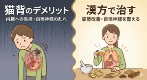 猫背のデメリットは内臓にも？漢方で治す姿勢の悪さと自律神経の乱れ